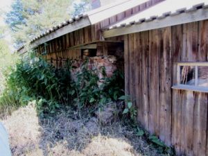 Ränsistynyt vanha mökki