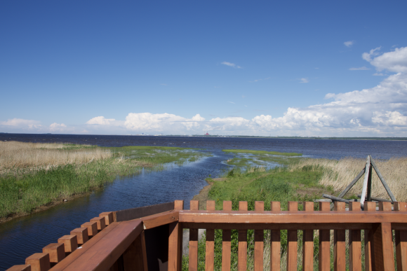 Maisema Vihiluodon lintutornista